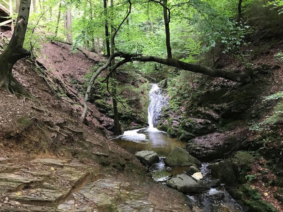 Little Roua Ardenne Cottage 4 Pers ストゥモン エクステリア 写真
