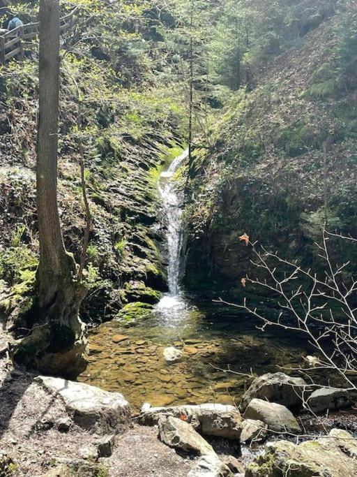 Little Roua Ardenne Cottage 4 Pers ストゥモン エクステリア 写真